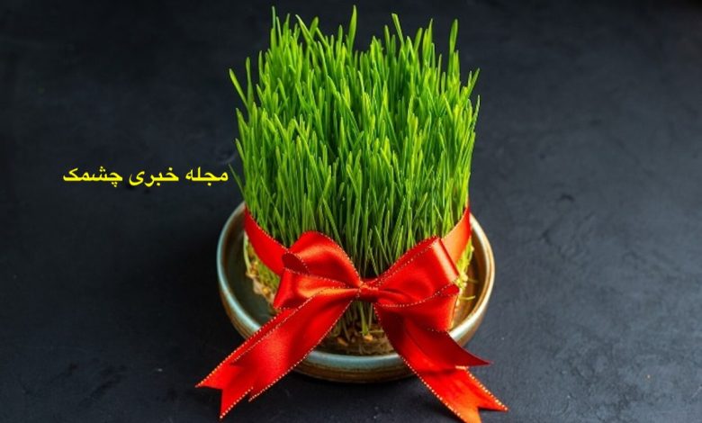 بدترین و بهترین بذر برای سبزه عید