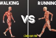 ایدهها و دستورالعملهای غذایی: نحوه آماده سازی غذا برای کاهش وزن! پیاده روی یا دویدن