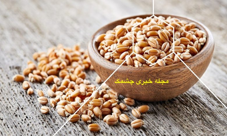 ماسک جوانه گندم برای پوست و مو