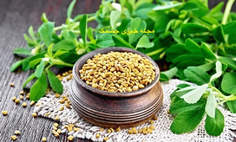 خواص روغن شنبلیله برای مو