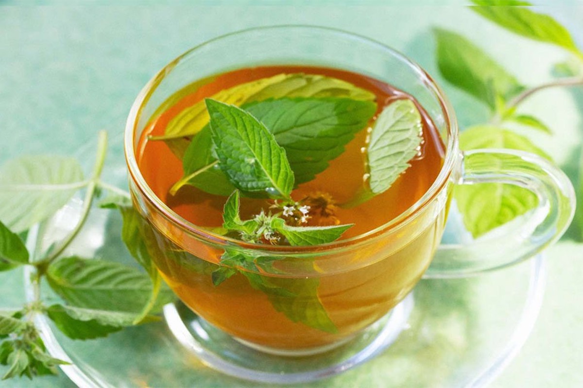 گیاهان مفید برای درمان کبد چرب