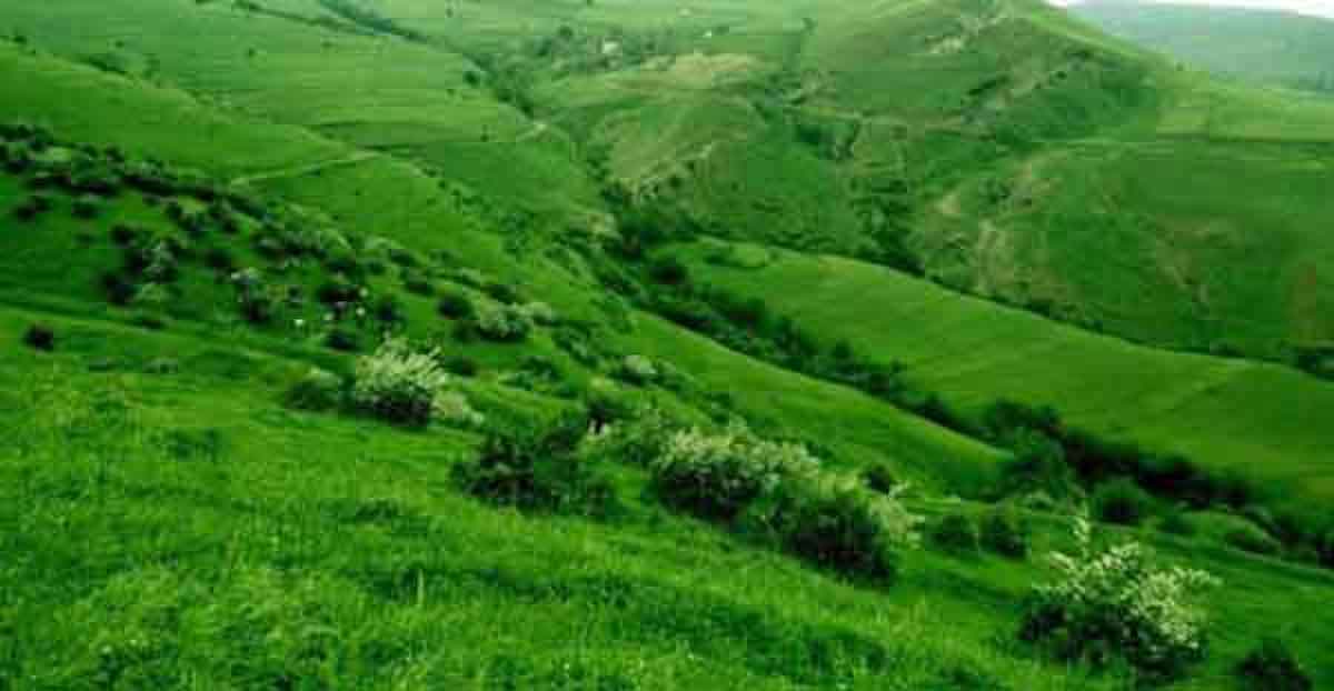 تعبیر خواب دشت سرسبز