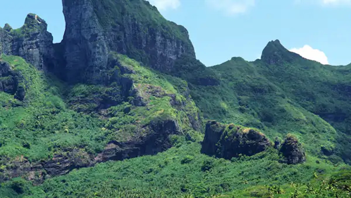 تعبیر خواب دشت سرسبز