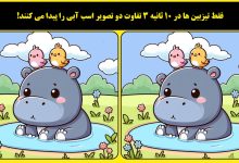 آزمون تصویری تفاوت های اسب آبی
