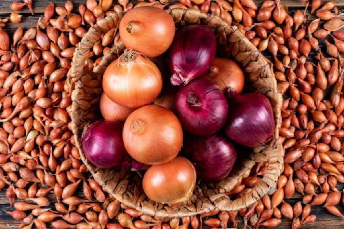  رهایی از بوی رنگ در خانه