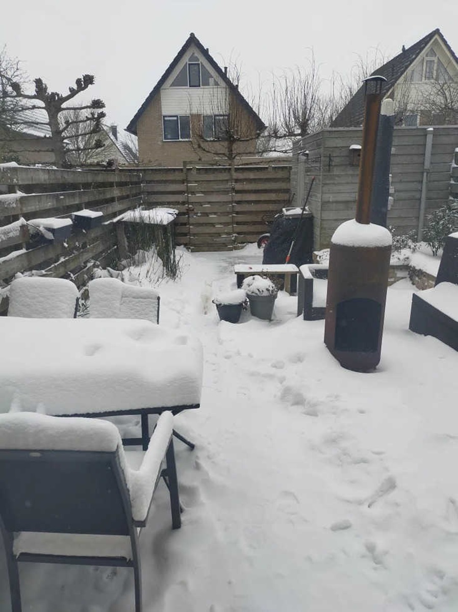 تست قدرت دید گربه در برف