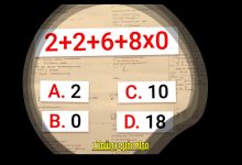 ۱۵ گیاه قوی برای کاهش وزن و لاغری سالم! آزمون ریاضی با شناخت اولویت محاسبه