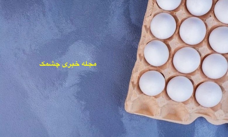 از کجا بفهمیم تخم مرغ سالمه
