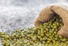 خواص ماش برای زنان باردار