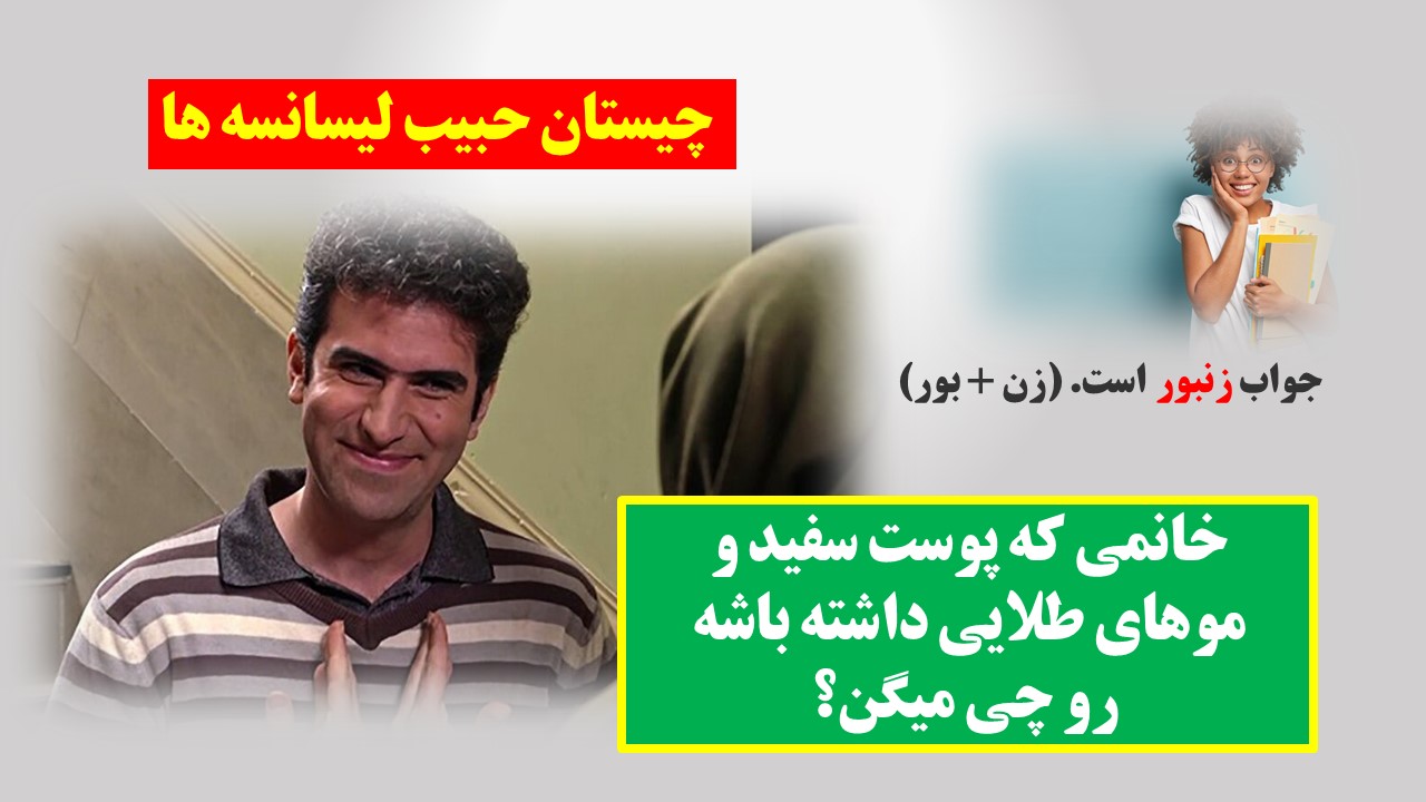 چیستان حبیب لیسانسه ها