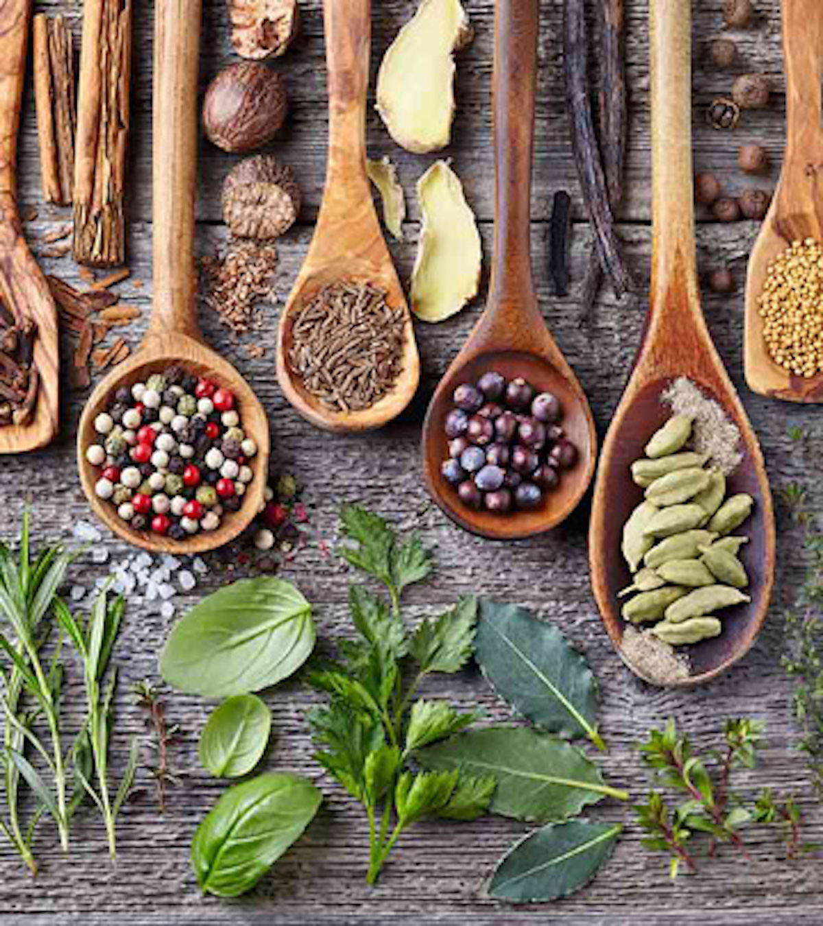 گیاهان دارویی برای کاهش وزن