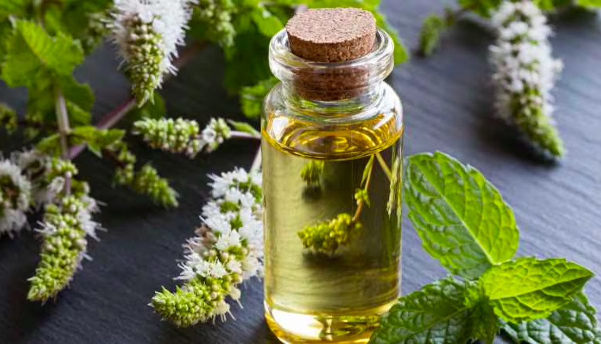 رشد مو با روغن نعناع