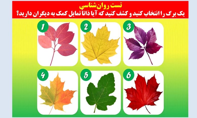 تست شخصیت با برگ ها