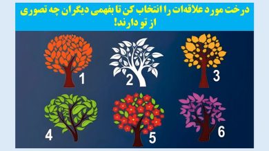 تست شخصیت با درخت فانتزی