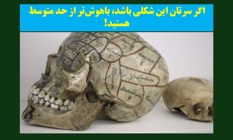 تست شخصیت با شکل سر