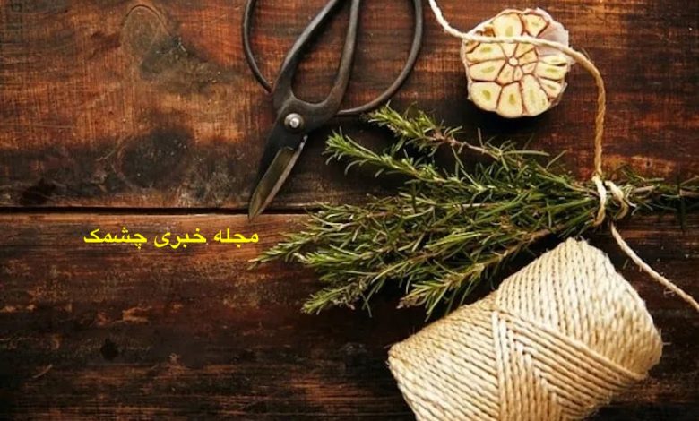 جلوگیری از ریزش مو با گیاهان دارویی