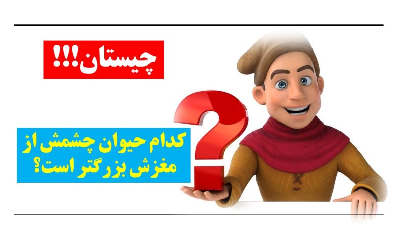 چیستان چشم حیوان