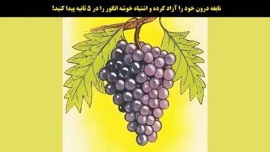 آزمون شناسایی اشتباه خوشه انگور