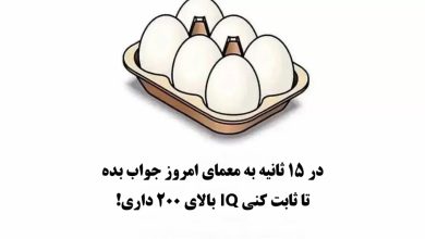 تست هوش تعداد تخم مرغ ها