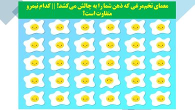آزمون تصویری تخم مرغی