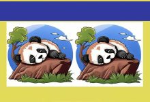 آزمون شناسایی تفاوت های دو پاندا