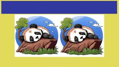 آزمون شناسایی تفاوت های دو پاندا