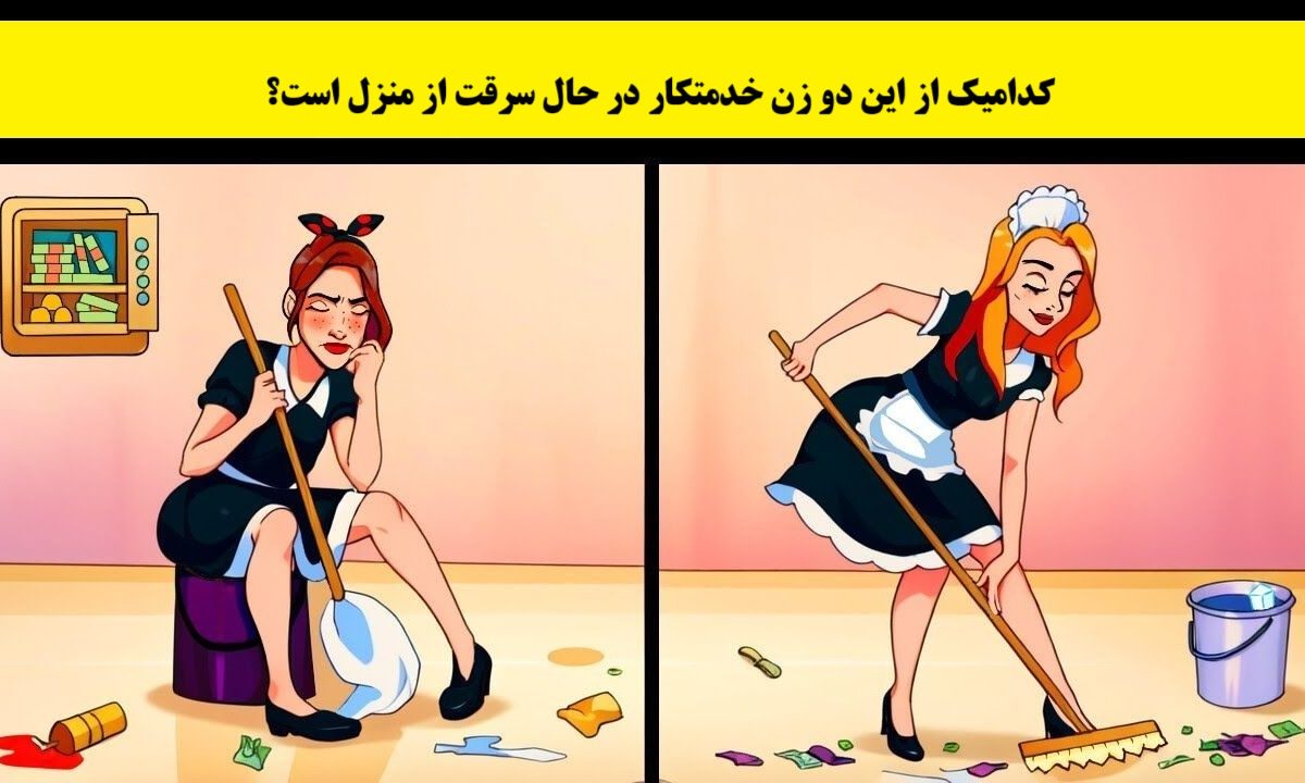 آزمون شناسایی خدمتکار سارق