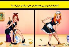 آزمون شناسایی خدمتکار سارق