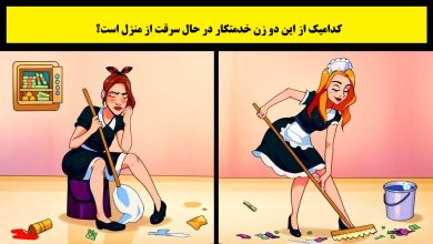 آزمون شناسایی خدمتکار سارق