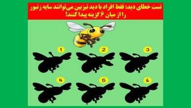 تست خطای دید با زنبور