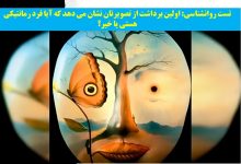 تست شخصیت با برداشت از تصویر