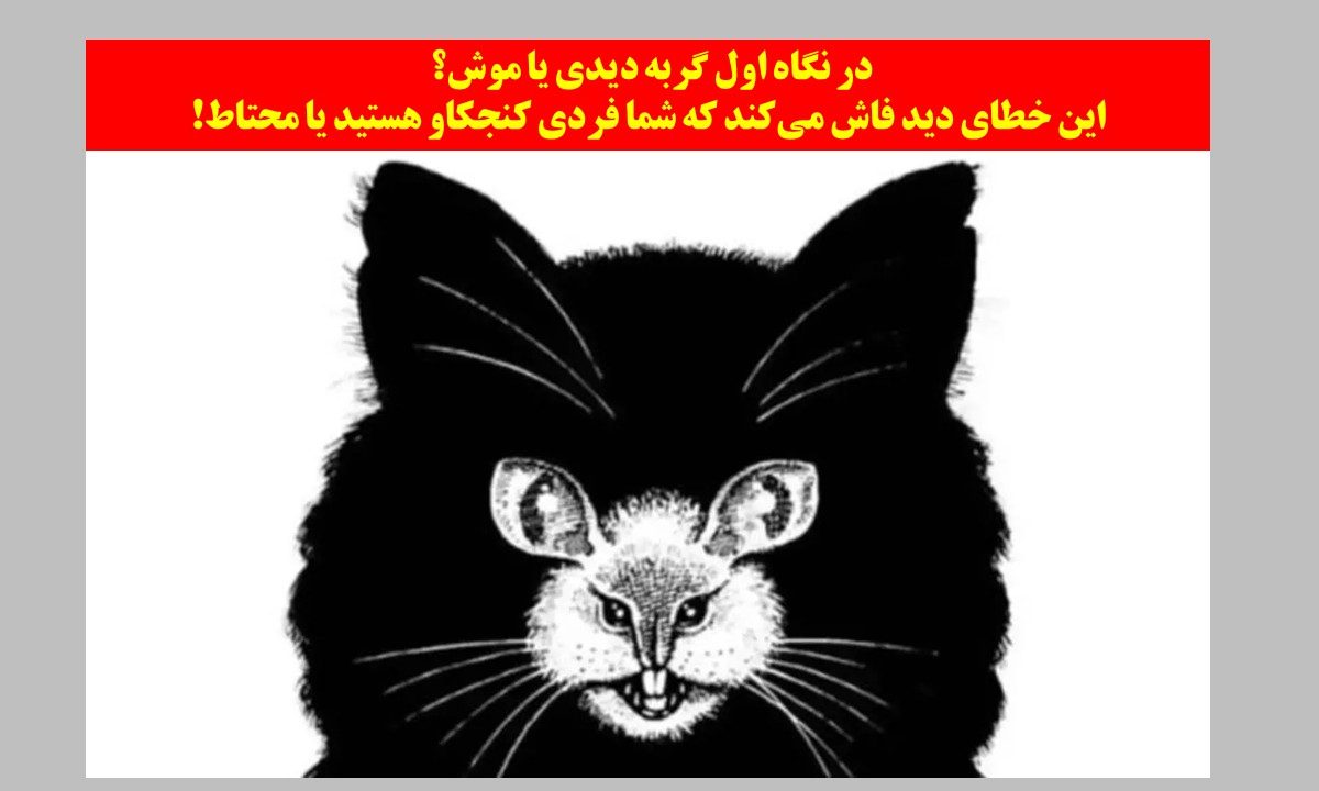 تست شخصیت با خطای دید