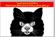 تست شخصیت با خطای دید