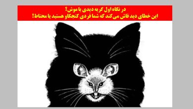 تست شخصیت با خطای دید