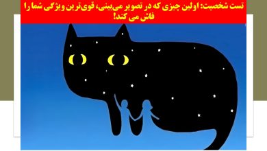 تست شخصیت گربه سیاه