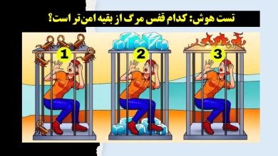 تست هوش با قفس امن