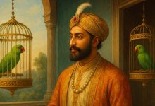 حکایت جواب طوطی