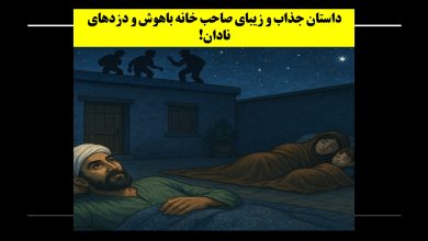 صاحب خانه‌ باهوش و دزدهای نادان