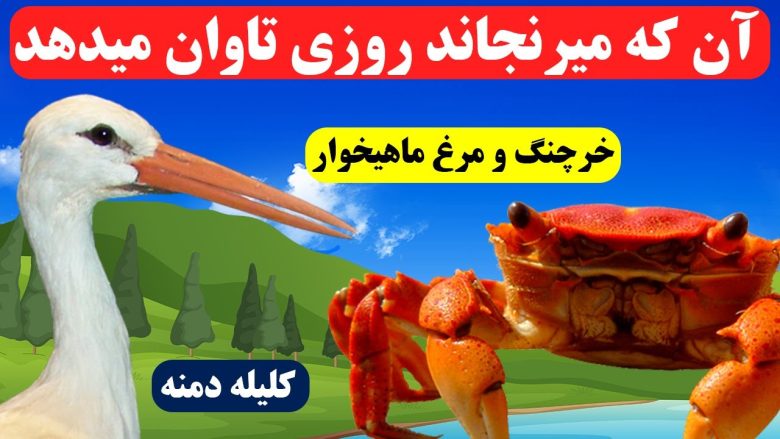 قصه آموزنده خرچنگ و مرغ ماهیخوار