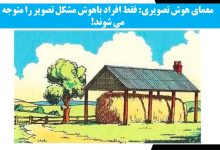 معمای هوش تصویری با مزرعه