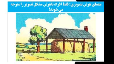 معمای هوش تصویری با مزرعه