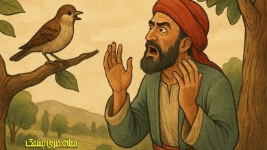 نصیحت های جالب گنجشک به مرد دمشقی