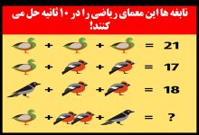 آزمون ریاضی با پرنده ها