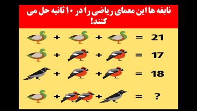 آزمون ریاضی با پرنده ها