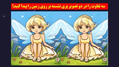 آزمون تصویری با پری نشسته بر روی زمین