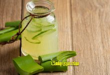 دستور خانگی تهیه ژل آلوئه ورا