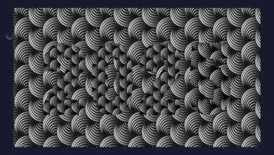 چالش عدد مخفی