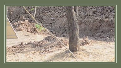 آزمون ذهن با استتار 