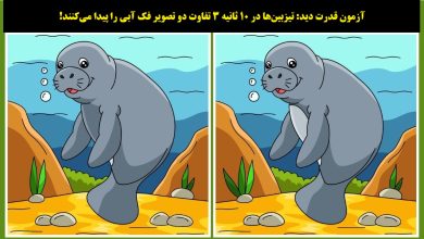 آزمون شناسایی تفاوت دو تصویر فک