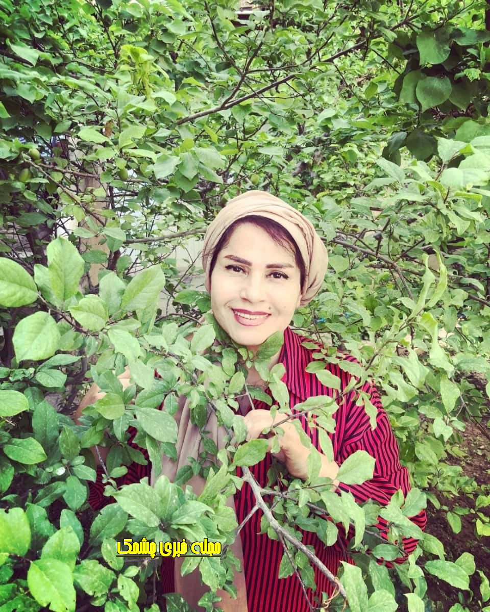 بیوگرافی ساقی زینتی